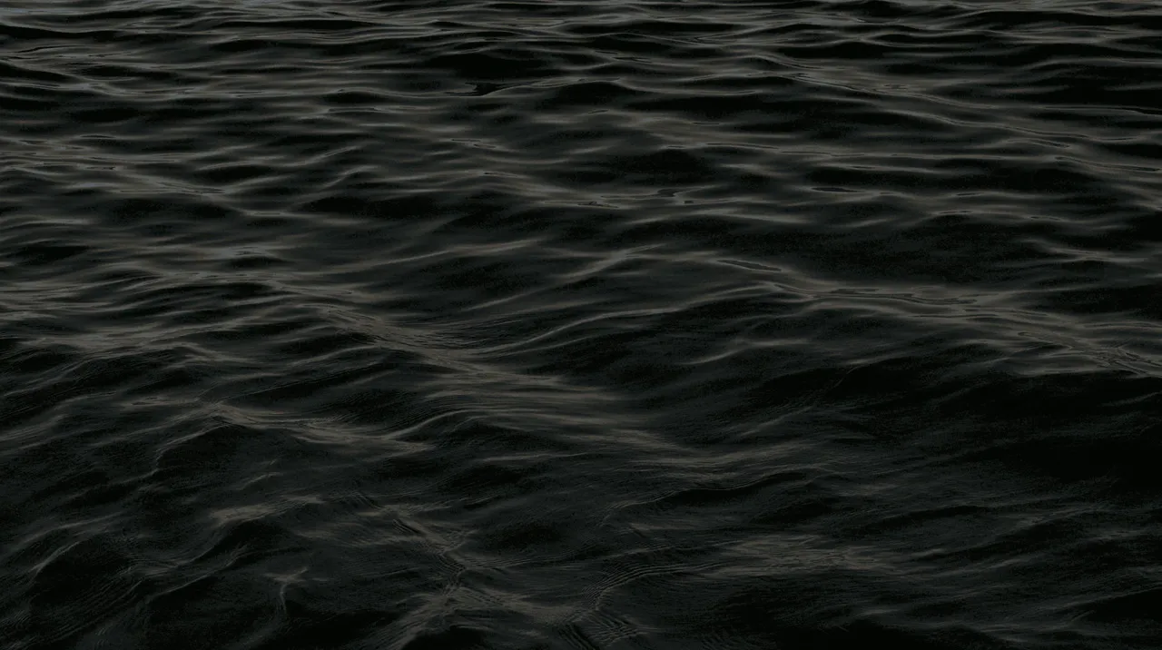 Dark water at rest, holding the last of the light