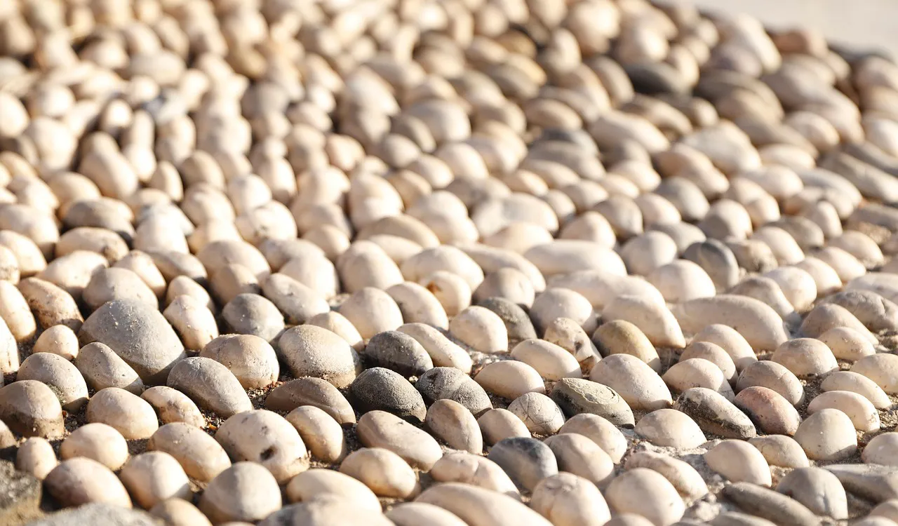 A field of pale sea-worn pebbles, bone and sand toned